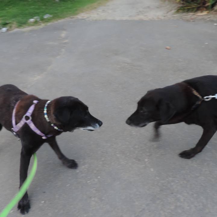 A1cc6d48 120e 4cc6 85f7 2e062a71ddab