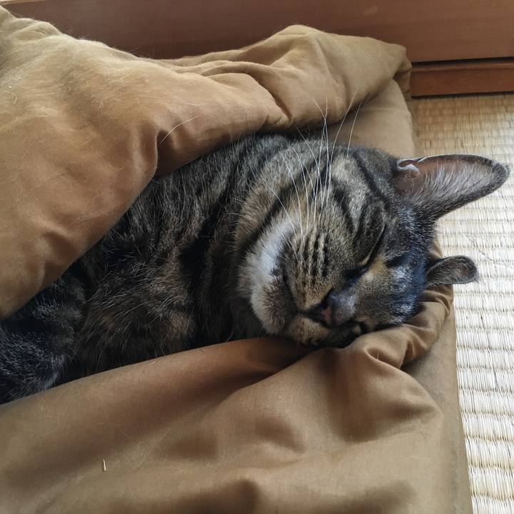 A1cc8ef8 f20d 44cd acb7 07aaf39d5e74