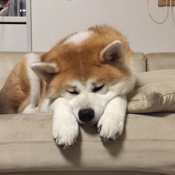 A1ccc261 9221 4ac1 852f 5809a08b111e