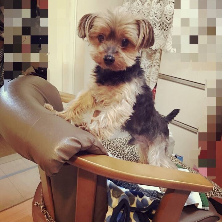 A1ce0362 e5cf 480f a90d ab56cab457a9