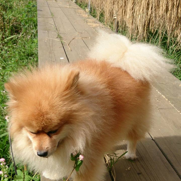 A1ce72c1 f3af 4d24 a1d5 c7015ec491e6