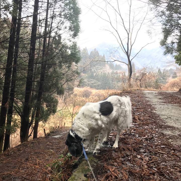 A1ce8896 3d54 4dcf 99e9 d77d3468ca38