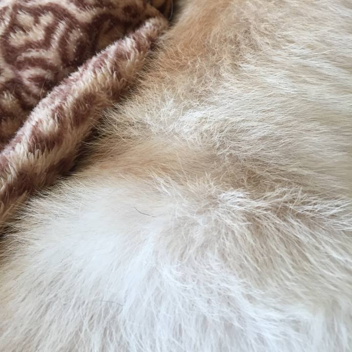 A1cecc9d 12eb 48d4 80e0 f253539d5834