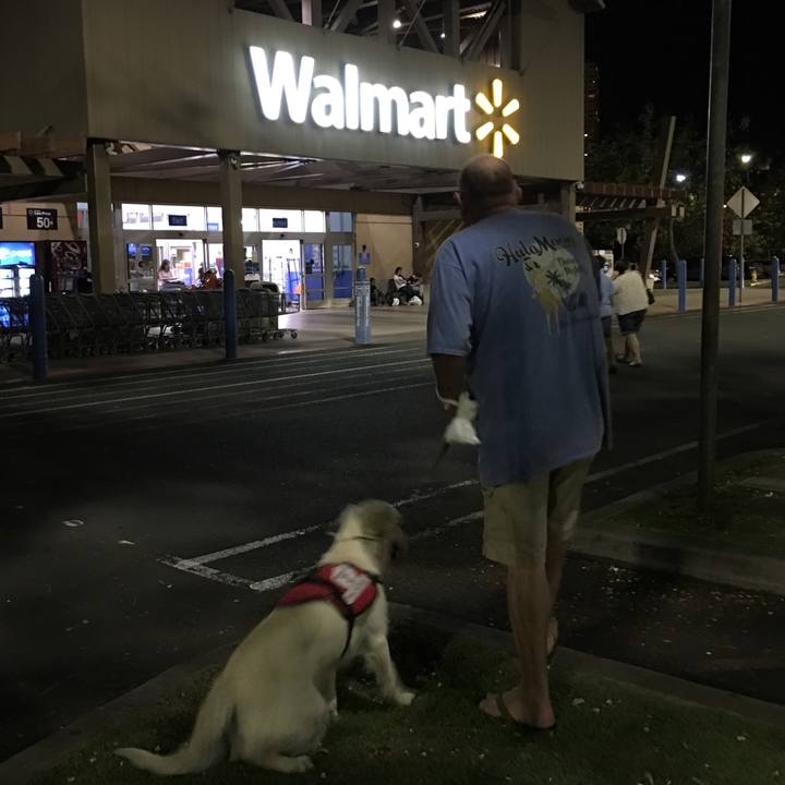 A1cf21b7 3d1e 44cb afd2 60d56523a257