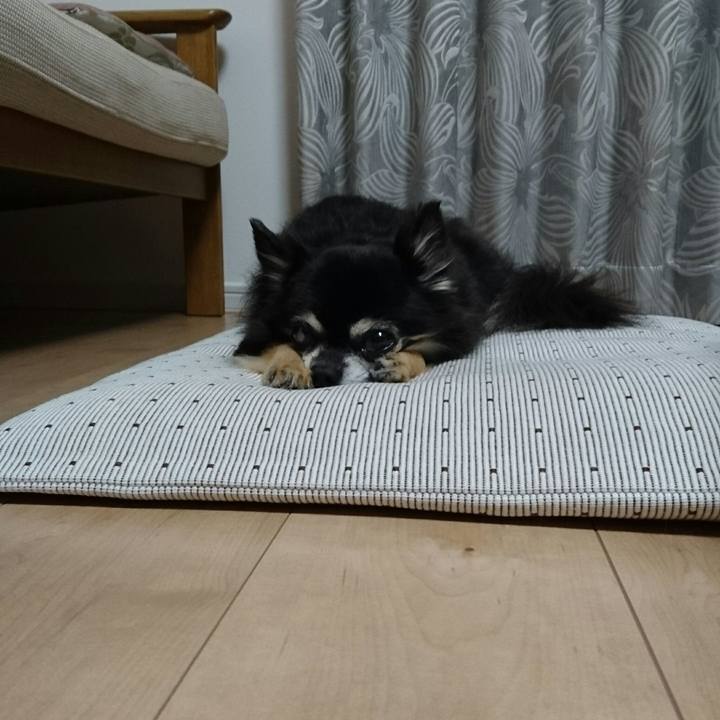 A1cf7cfc eff3 45d6 88f3 27ff645670fe