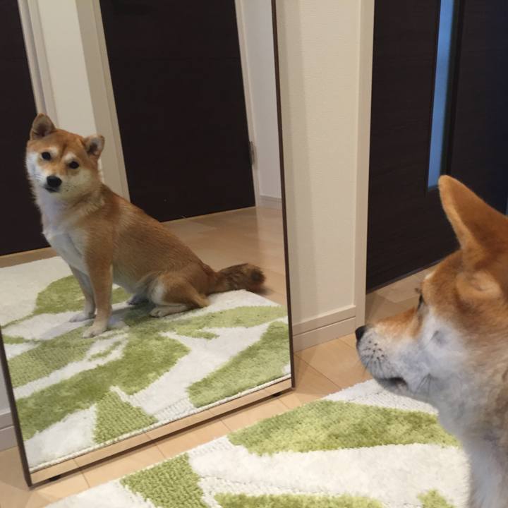 A1cfaa32 e340 4fde 9d8a 38b9cad2bfd3