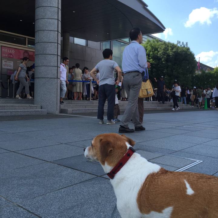 A1cfe3bc 4b7f 4762 a782 b9ed37343587