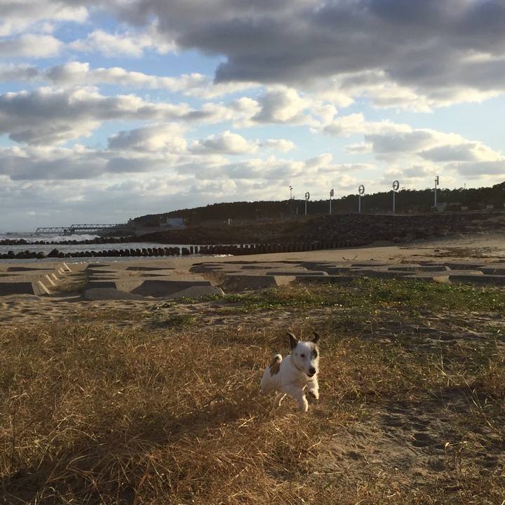 A1d0006b 6e9f 45d8 b20a 95b819f5f37c