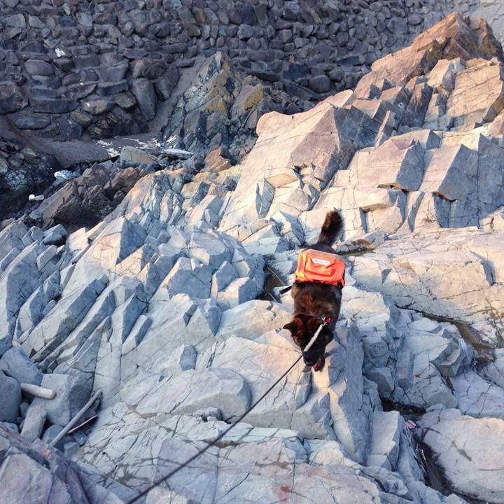 A1d07c36 d8b8 4f2d 954b c249b78b68ad