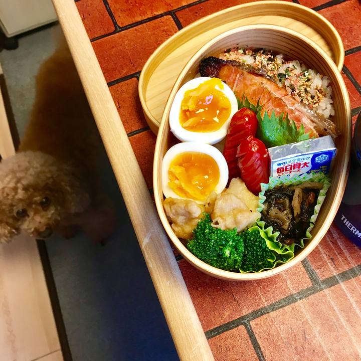 A1d0ae76 cb19 4956 8847 df0522ff3c3b