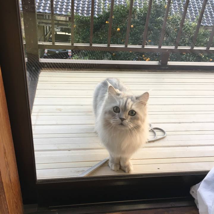 A1d0d482 205d 4ded add5 de51676a0afb