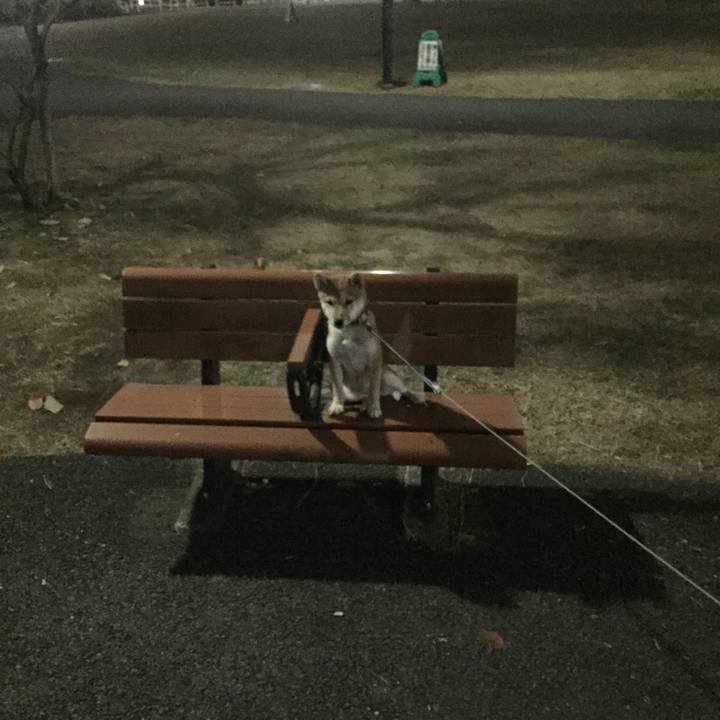 A1d1392c a1f9 4ea1 b08b 1bbc19993baa