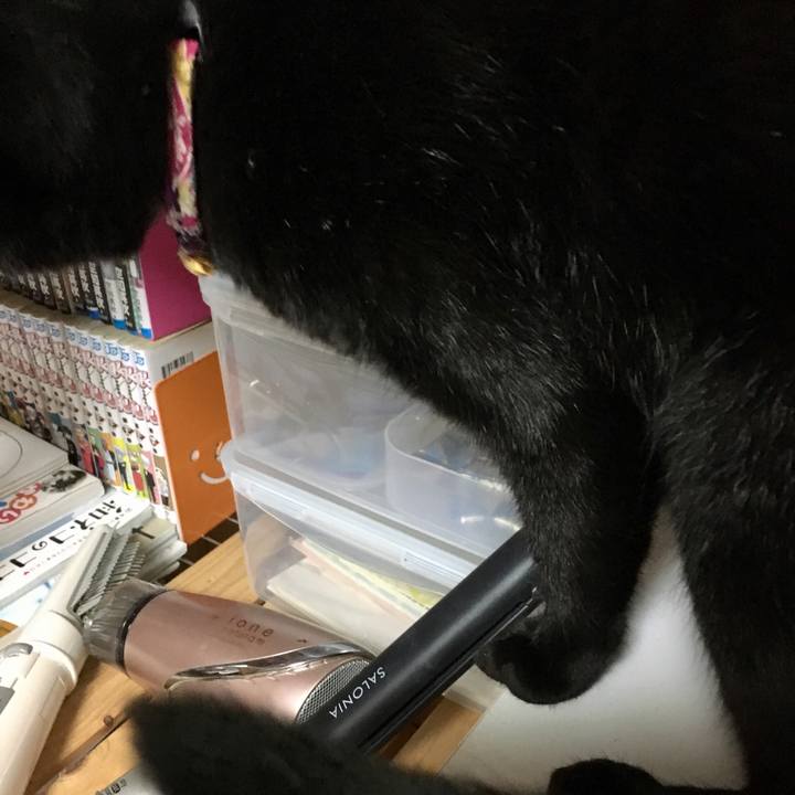 A1d15238 0359 437f b6df 67cb9e5295cb