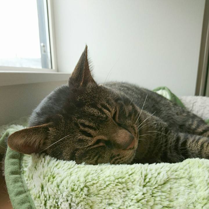 A1d1d627 6969 4445 8f4c fbd41a2cbd96