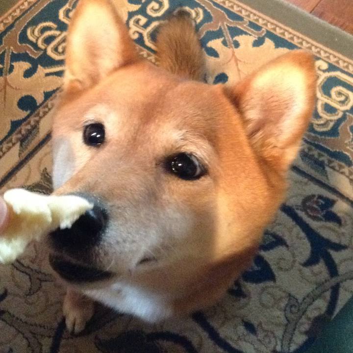 A1d1e565 36d8 42db 91c3 2fe7df6b8395