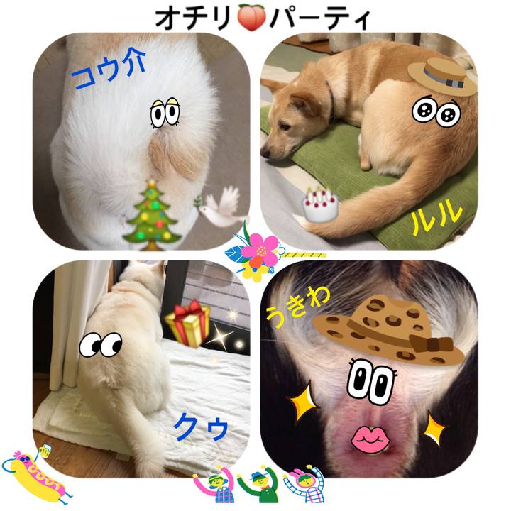 A1d2f726 0d6f 47d9 bd86 7a91ed2fc344