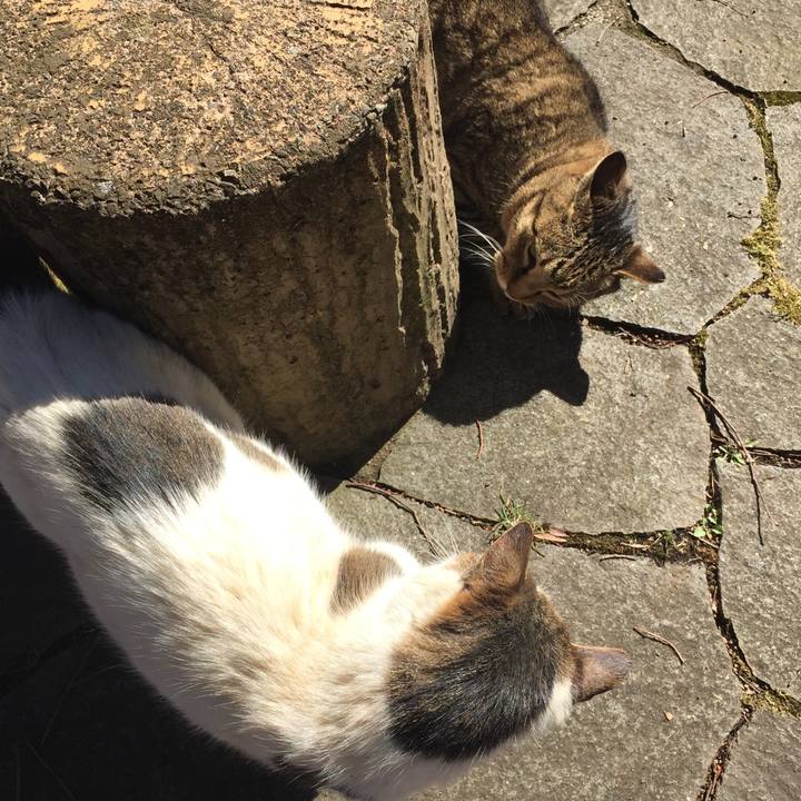 A1d35430 a383 4524 bc55 38e04f3b0628