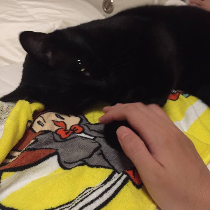 A1d3c981 ef2e 48ba 99e5 0a0e56b9f74c