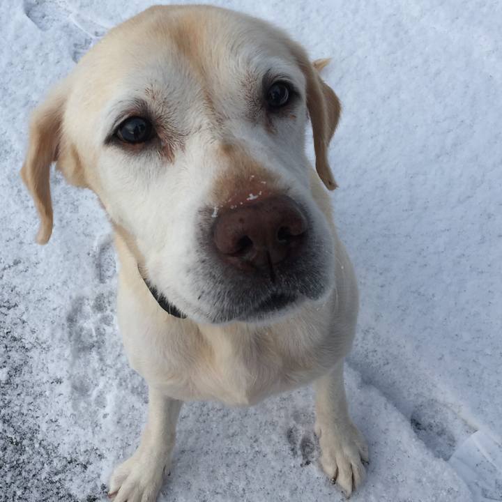 A1d4c6d7 f050 441e 8803 93b2aee8cd86