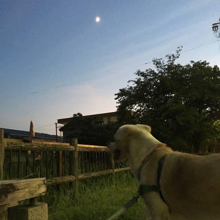 A1d4ca27 faca 4b77 b8f5 b35b34c7da79