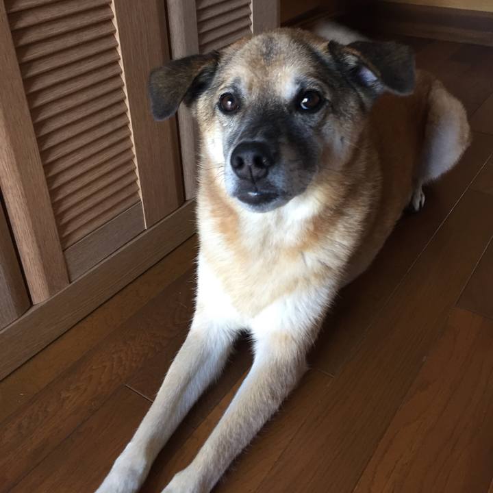 A1d52933 8e8f 4896 a525 d378bbf2e142