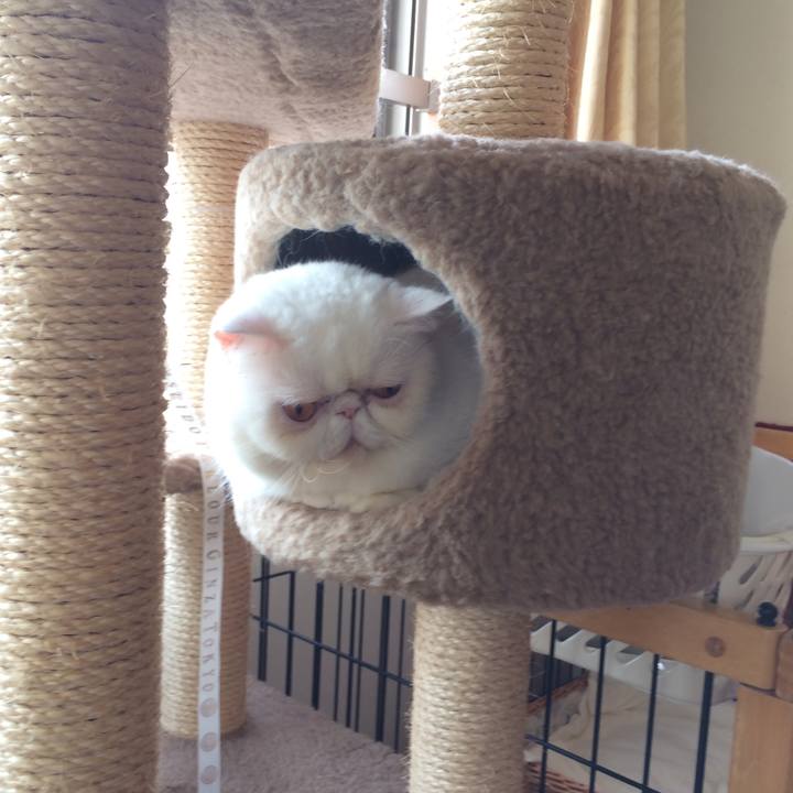 A1d5c929 69b3 4644 bf81 6e7545d82fb8