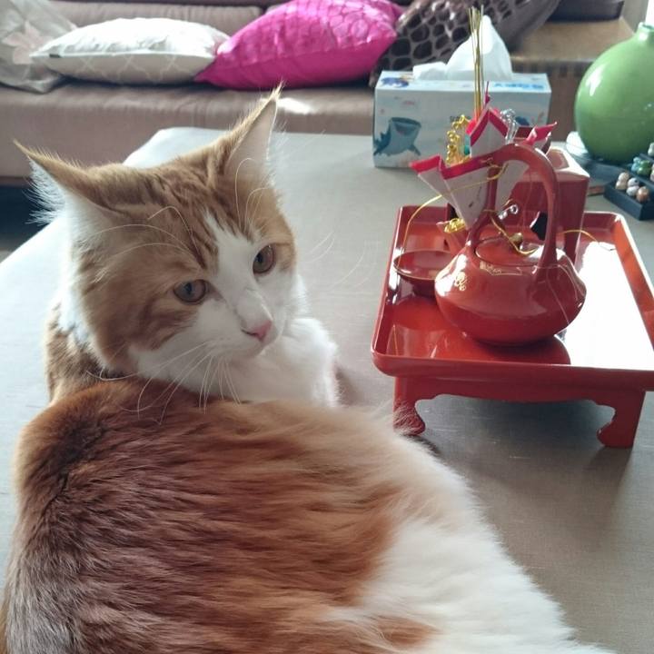 A1d5eb09 e6df 4fbf b2a3 b6670f600996