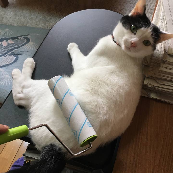 A1d639e5 0447 47a9 9810 55a5482865a1