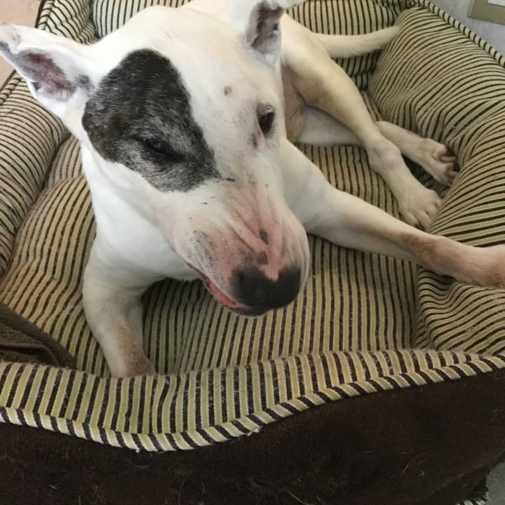 A1d65297 9045 4d2b abc7 08f827d28742