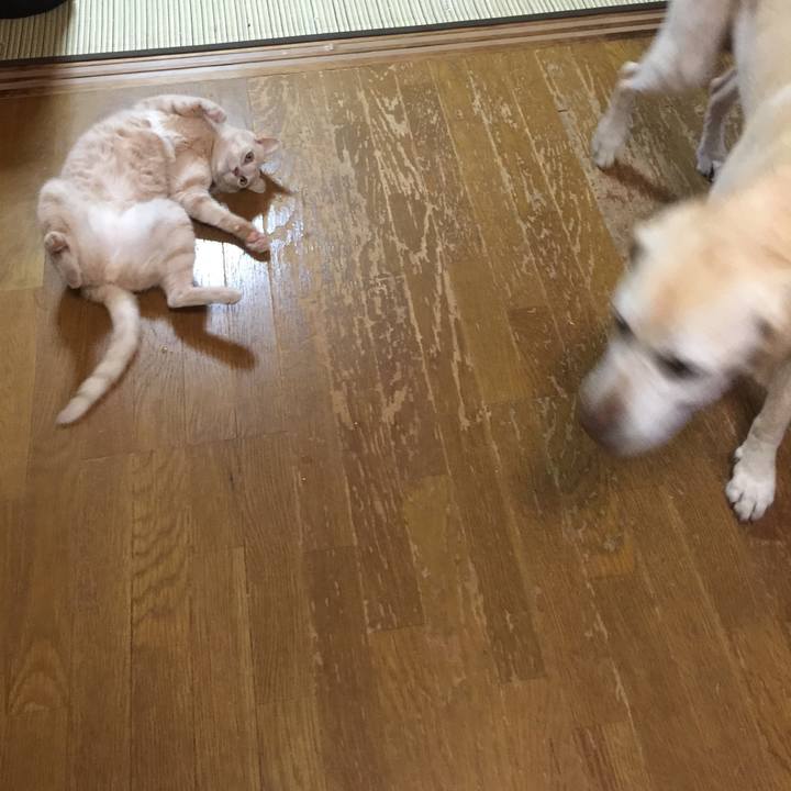 A1d6825e 932e 4f12 8b83 57026f388eee