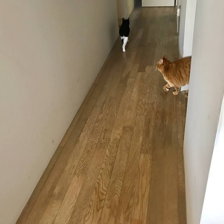 A1d6e288 2d3d 4dfd 85d4 4d7a2e679cea