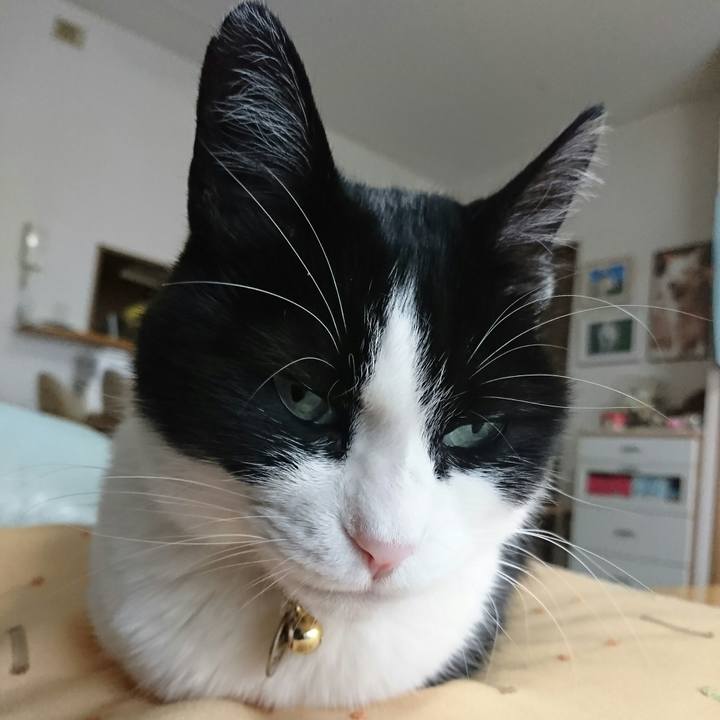 A1d7ab2e 654d 4976 b7da 358f2ccfa528