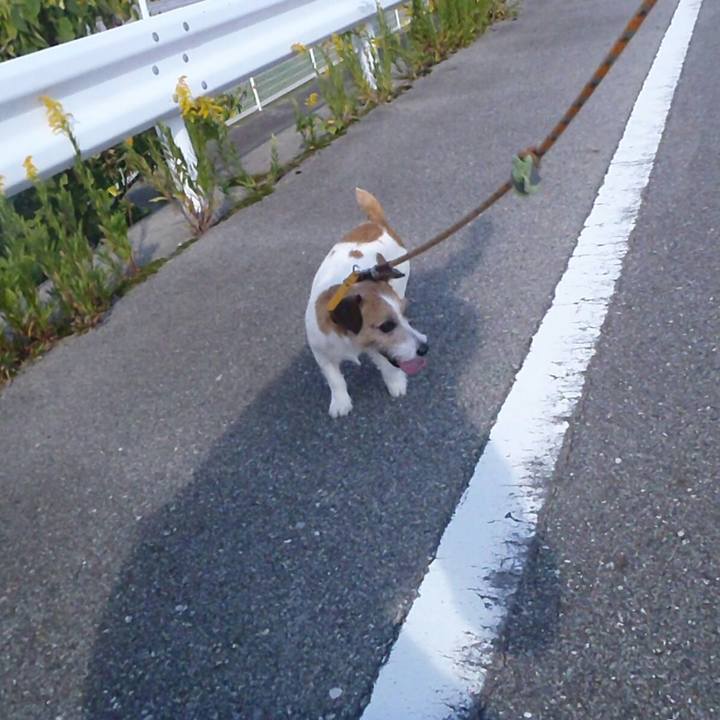 A1d7d35d efd0 42ac 882f ca2e82690185