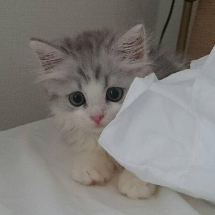 A1d7d63b 7b81 43eb b904 4a609d41106d