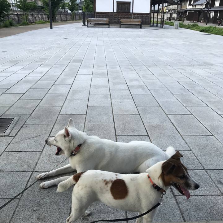 A1d8ce1f d72e 4726 b157 14058b4a6f84