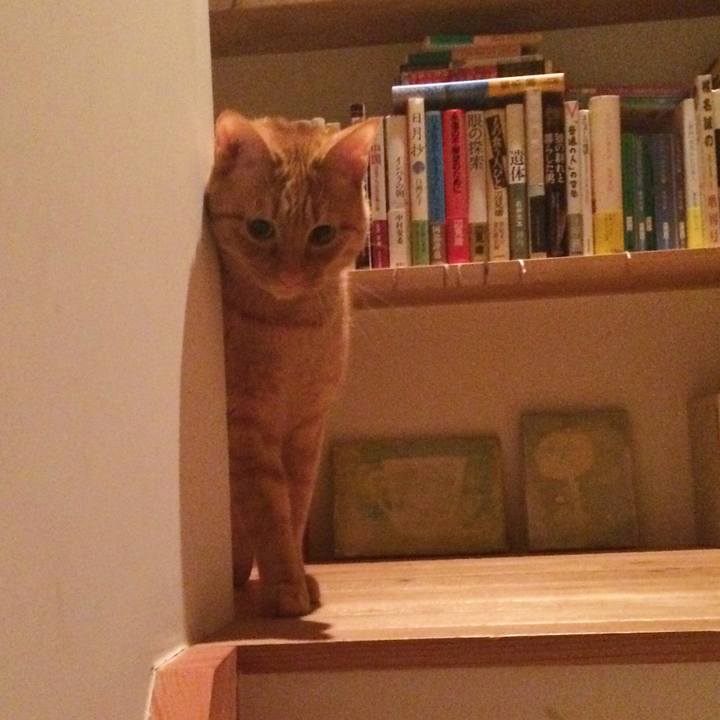 A1d8f595 04c0 40c8 9c0a 0862e6bf1e28