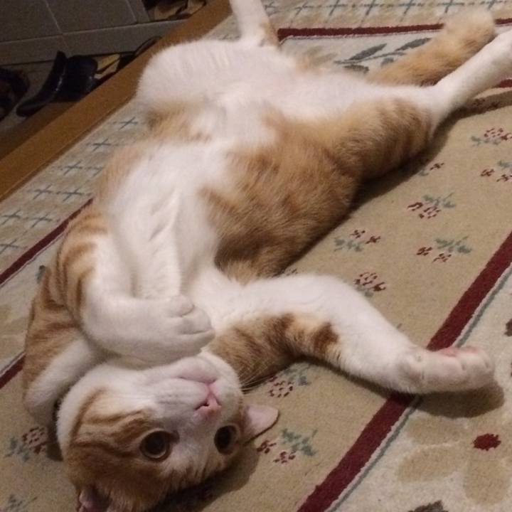 A1d919dc 53f5 4941 85ce 9bb0817ff200