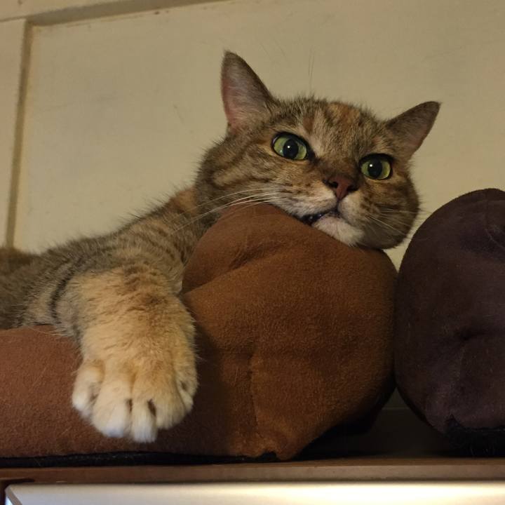 A1d931a0 42b2 4664 8c2a 4dc4bbcd875c