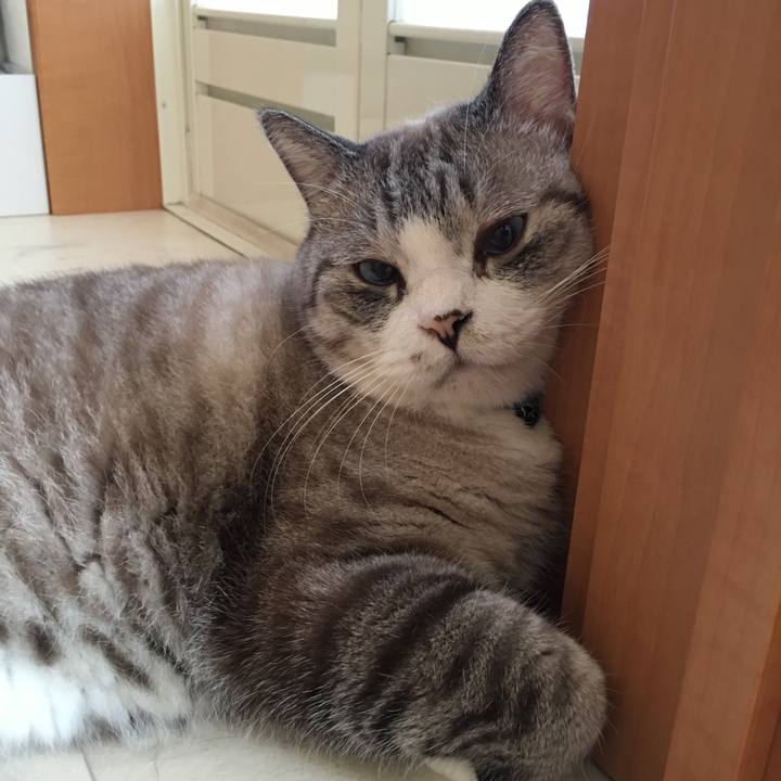 A1d955d4 b281 4616 911c ef72ba1e37e3