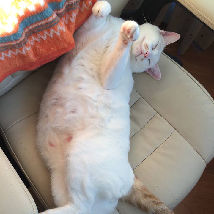 A1da49f6 b388 41cc a537 174c33f21087