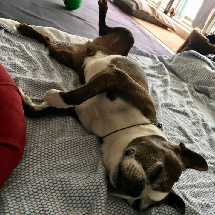 A1db75a8 c6ea 4aef 9af2 c3bf1c9fd631