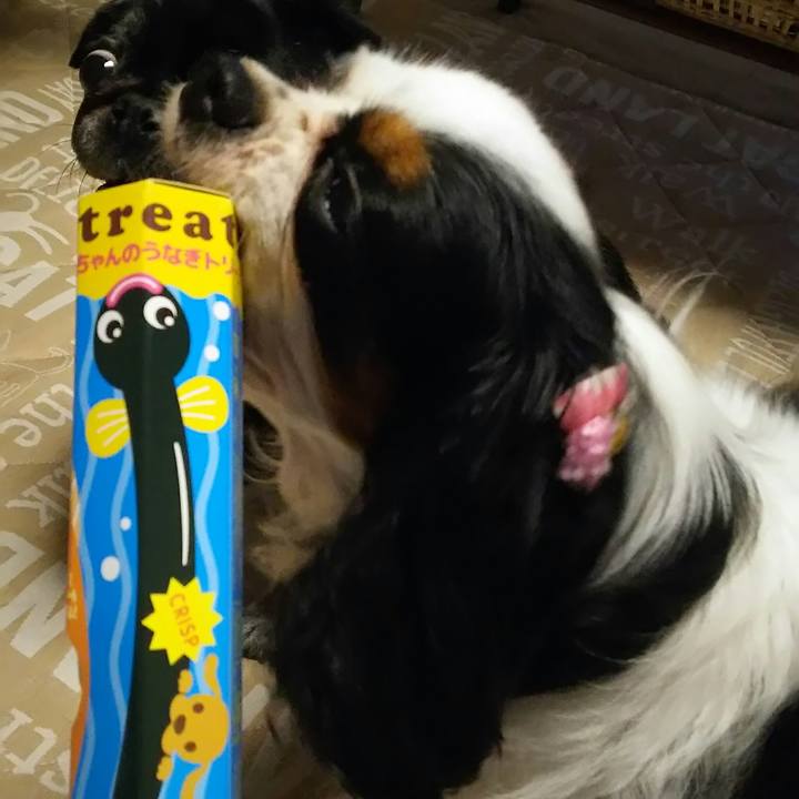 A1db8f7b c5e5 4f46 a135 d99f51d74412