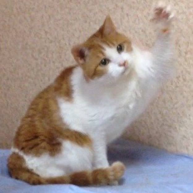 A1db93fb 9c1c 485b 9745 c4bc06210f99