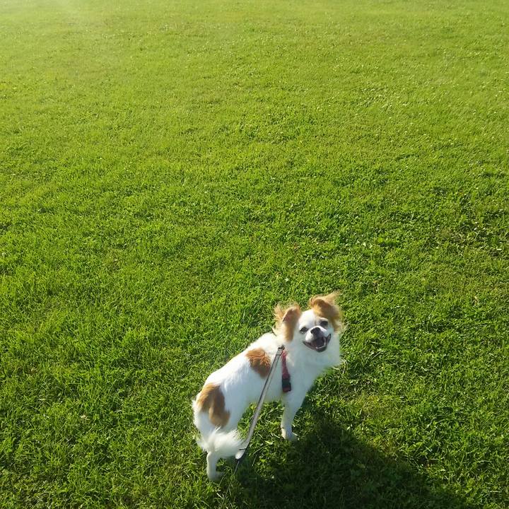 A1dbf4c4 dad5 4b59 bb41 d69c42e4d604