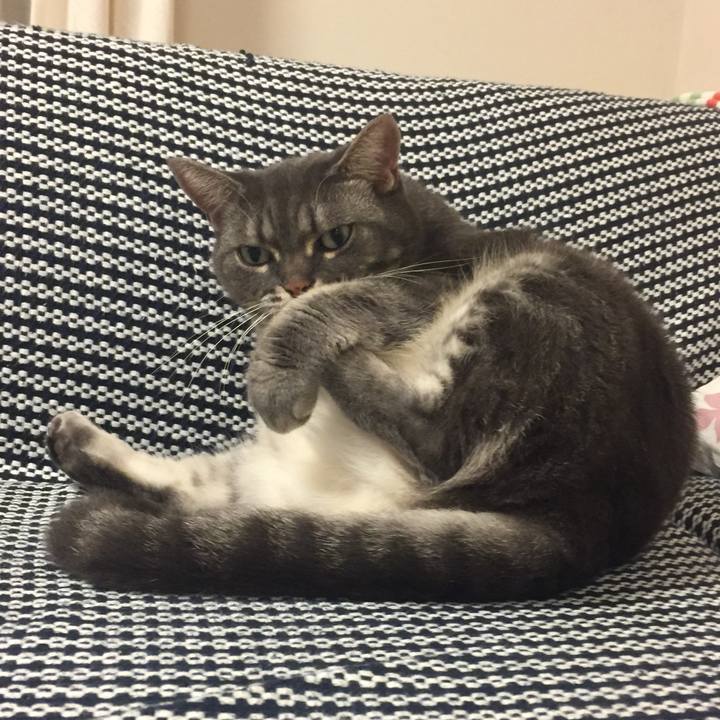 A1dc1178 71d9 4394 bca3 15b44b6287e0