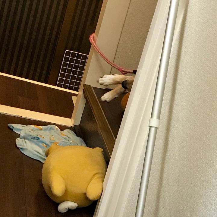 A1dc143f 44aa 4313 a355 e7b28dec84e5