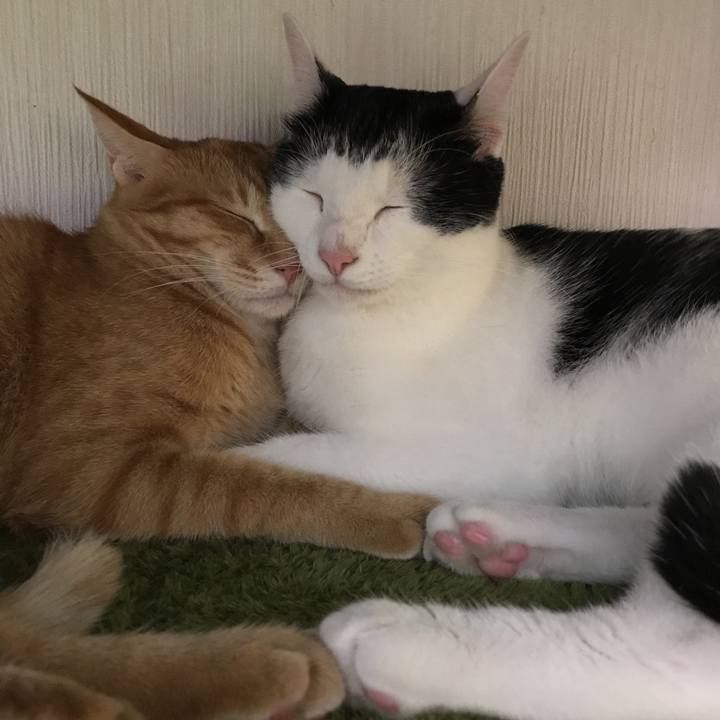 A1dc4dd2 83d2 4aac b6cd 9efda045b7b0