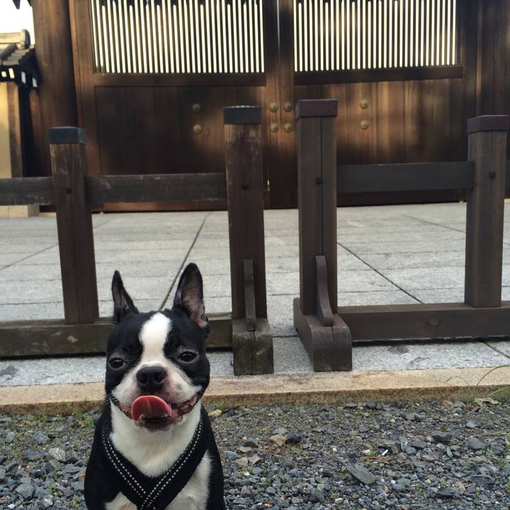 A1dd7b59 8dbe 4ebb a649 c0ba56d8068a