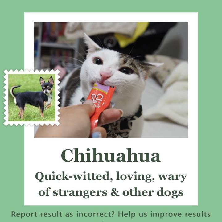 A1de023e e66f 4c41 b7f8 b625514e8a12