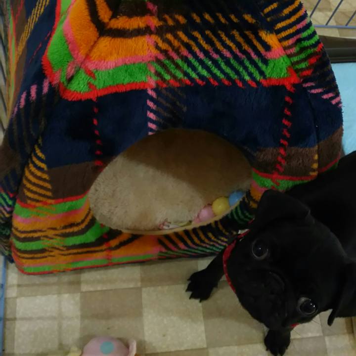 A1de0431 1e70 46d1 86c4 cc3a2b0ebd96